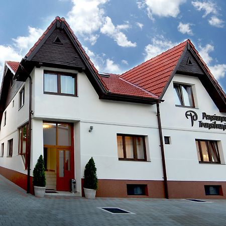 Pensiunea Transilvania Hermannstadt Exterior foto