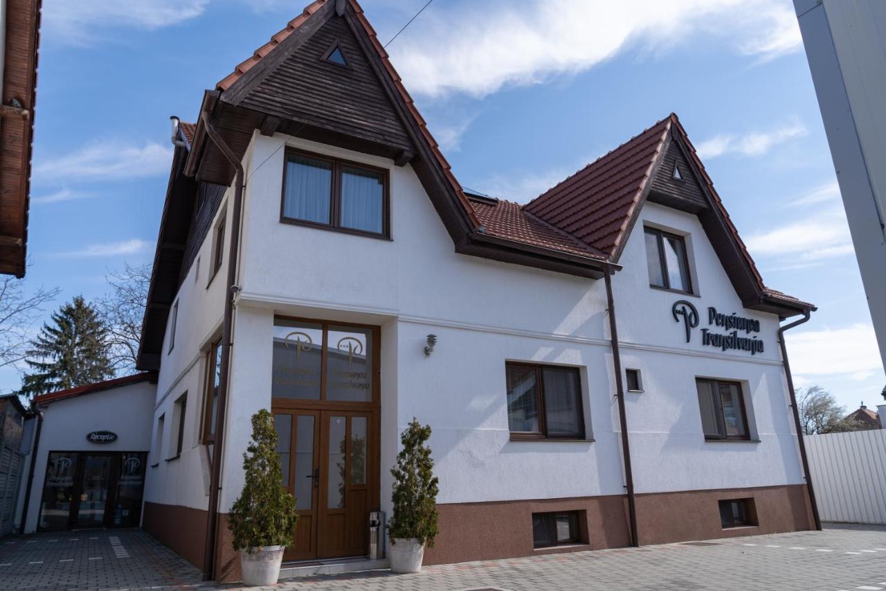Pensiunea Transilvania Hermannstadt Exterior foto