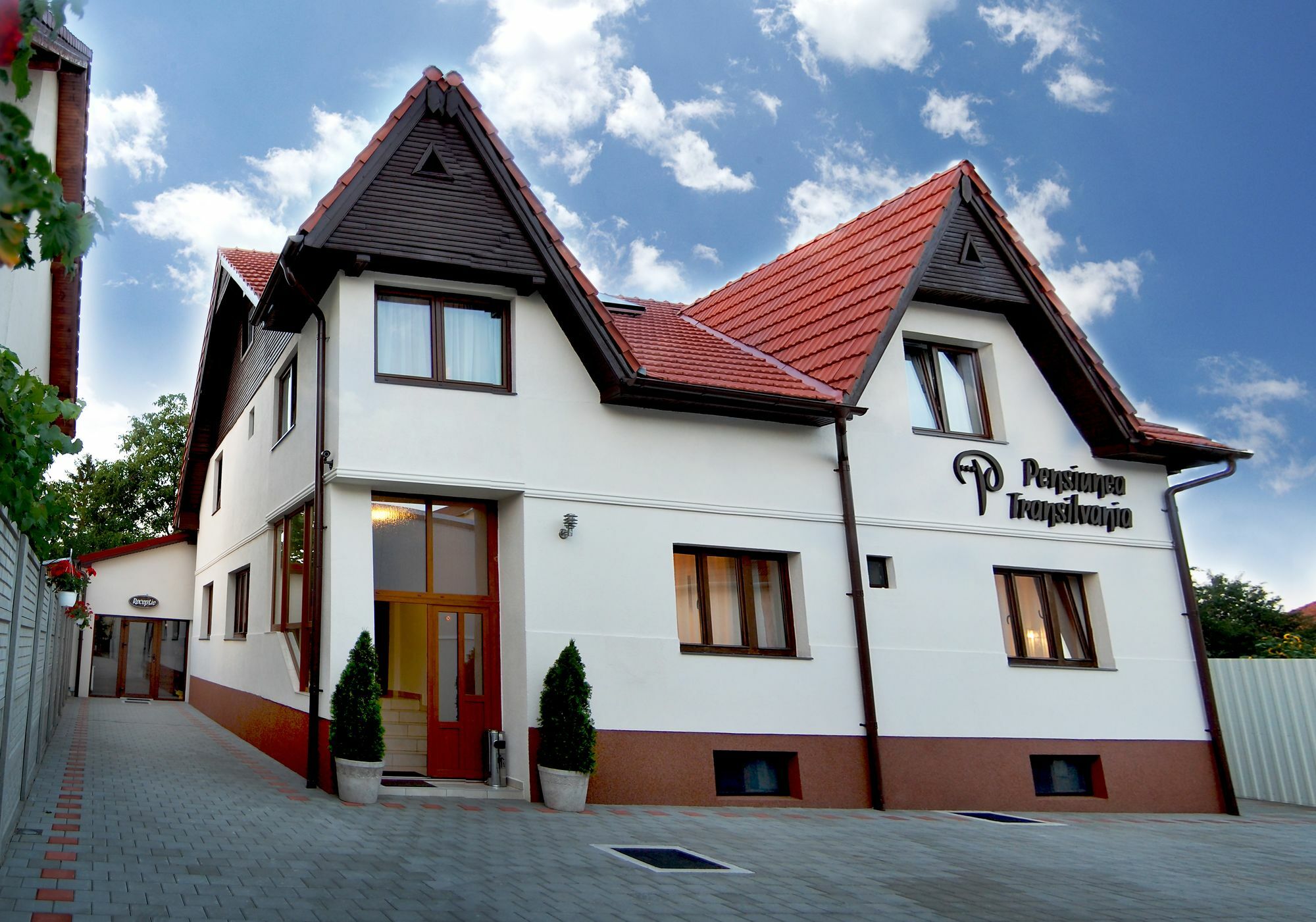 Pensiunea Transilvania Hermannstadt Exterior foto
